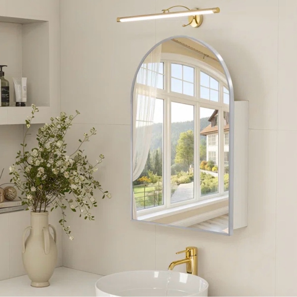 Tabbatha Accent Medicine Cabinet with Mirror from Mercer41